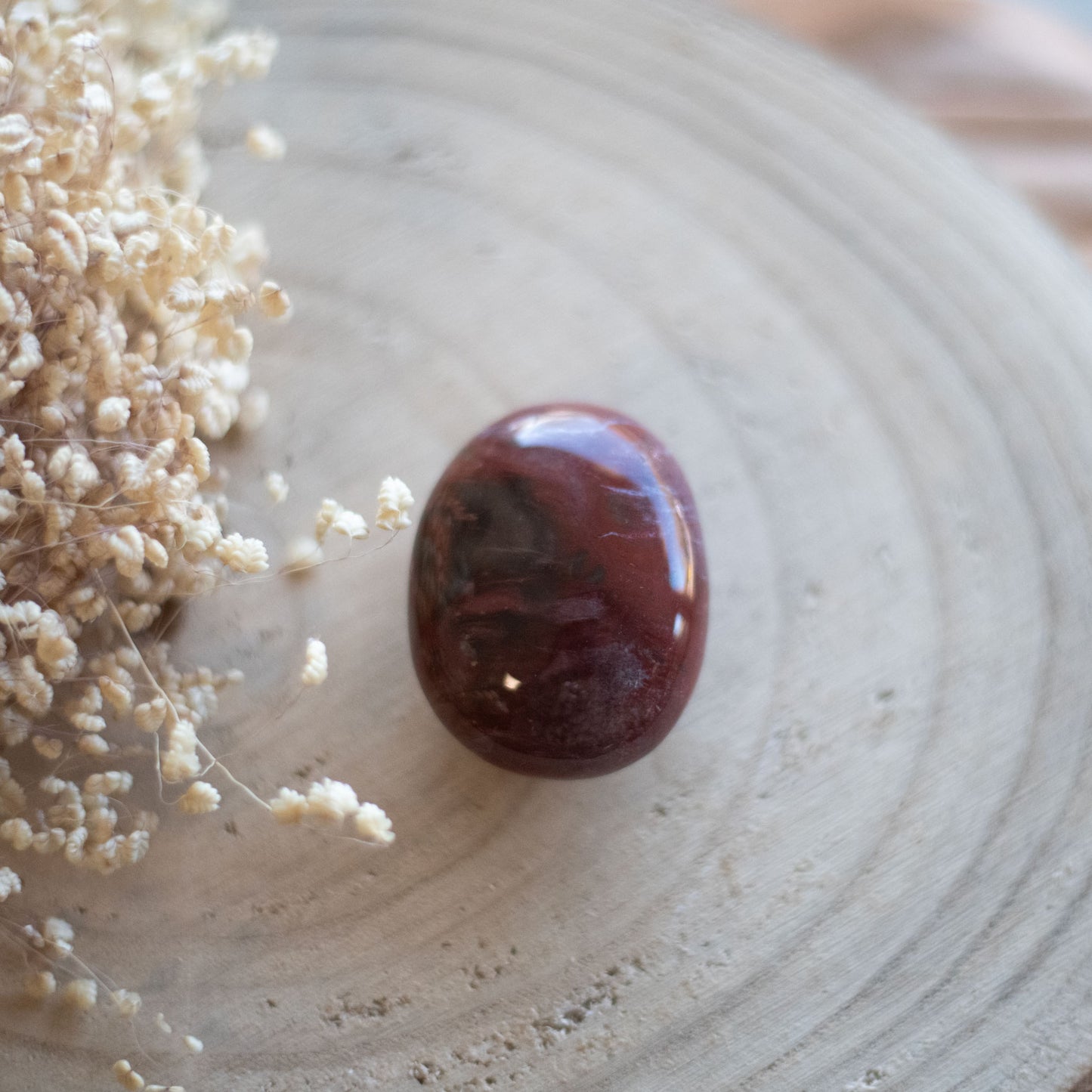 Galet Bois Fossilisé